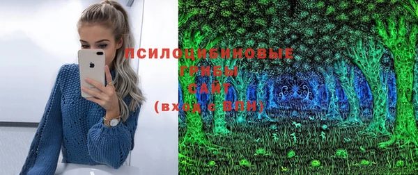 первитин Балахна
