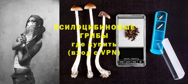 первитин Балахна