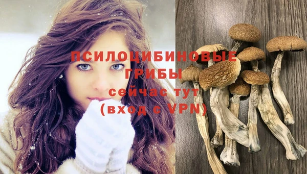 первитин Балахна