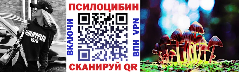 наркошоп  Новоалександровск  Псилоцибиновые грибы GOLDEN TEACHER 